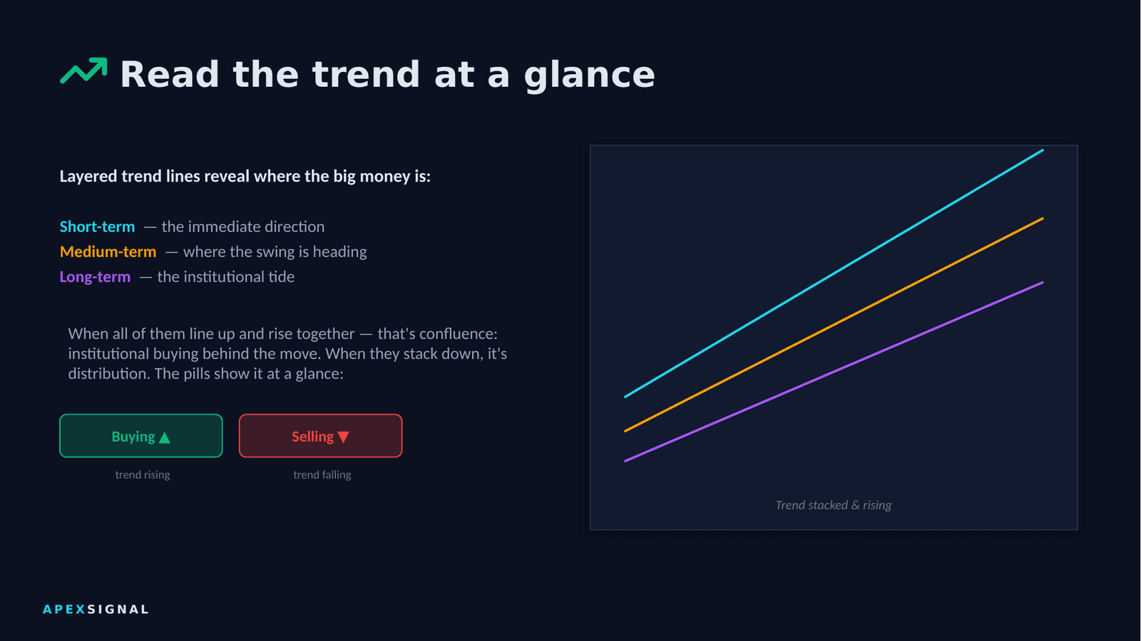 Apex Signal feature 3